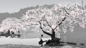 cherry-blossom-anime